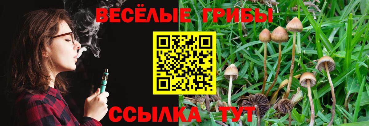 Ялта  Галлюциногенные грибы Magic Shrooms  Вход с VPN 