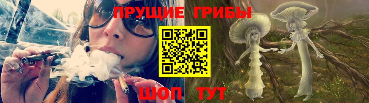 Псилоцибиновые грибы Ялта